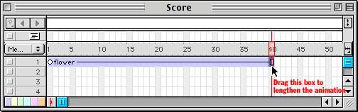 dir_score.jpg